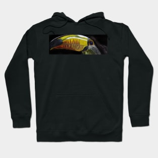 Toucan Hoodie